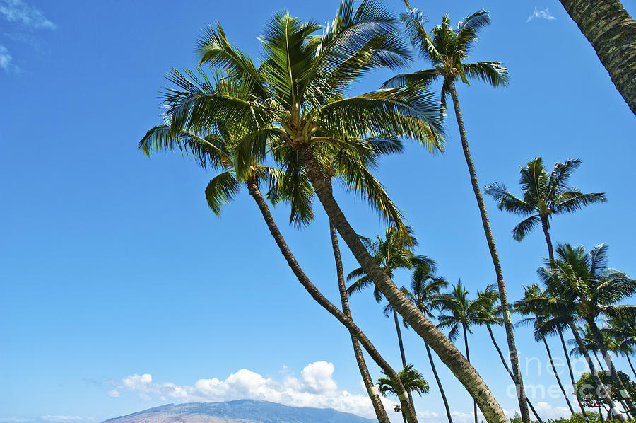 Hawaiian Beach on Maui 10 #2 Photograph by Micah May