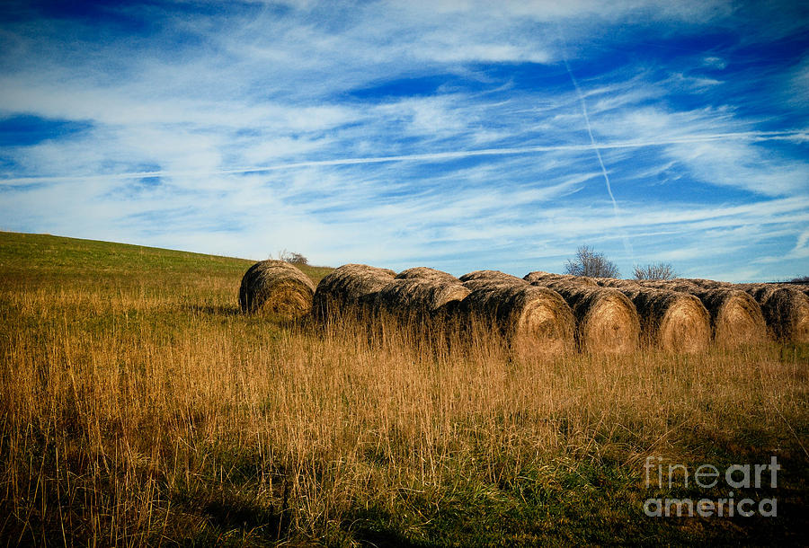 Summer Photograph - Hay Bales and Contrails #1 by Amy Cicconi