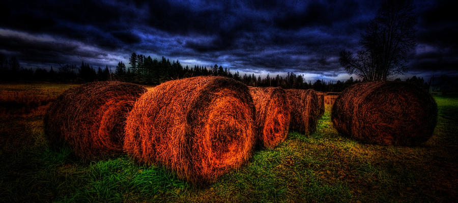 Hay bales #1 Photograph by Prince Andre Faubert