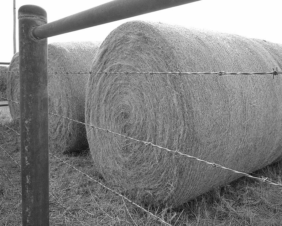 Hay Bales - black and white photography #1 Photograph by Ann Powell
