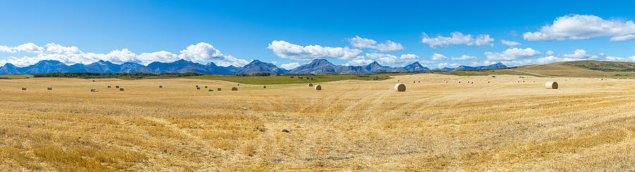 Nature Photograph - Hay Bales In A Field With Canadian #1 by Panoramic Images