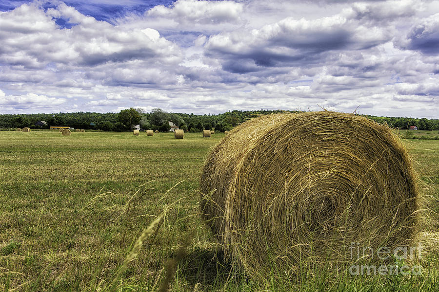 Hay Bales #1 Photograph by Timothy Hacker