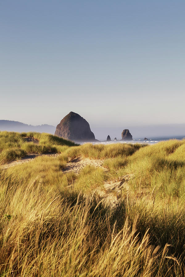 Haystack Rock Seen From Dunes #1 Photograph by Sawaya Photography