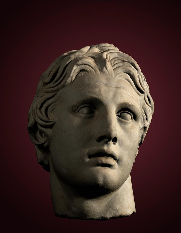 Head Of Alexander The Great #1 Photograph by David Parker