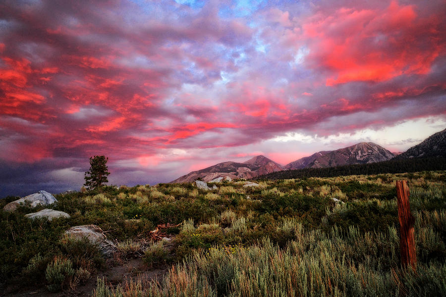 Heaven's Fire Photograph by Lynn Bauer - Fine Art America