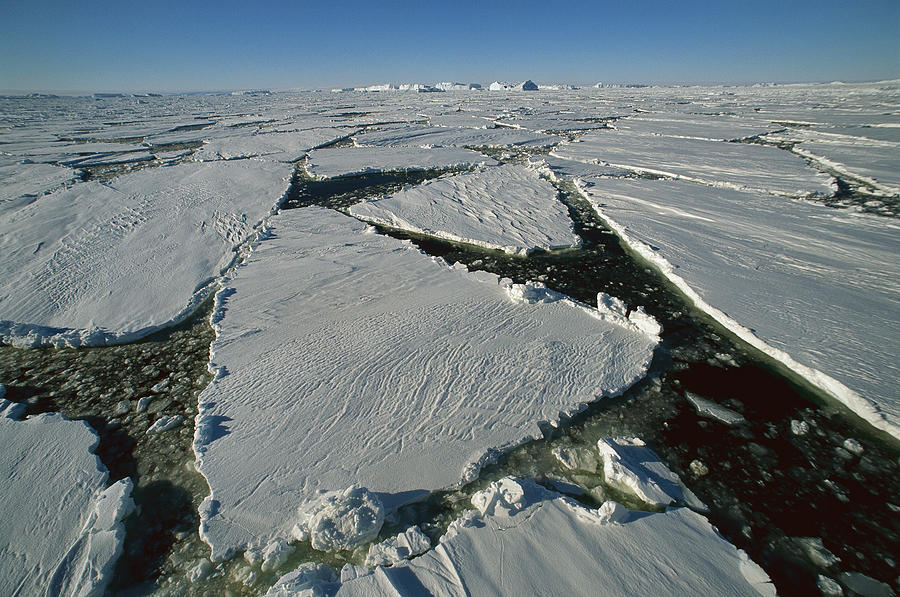Heavy Pack Ice Terre Adelie Land #1 Photograph by Colin Monteath