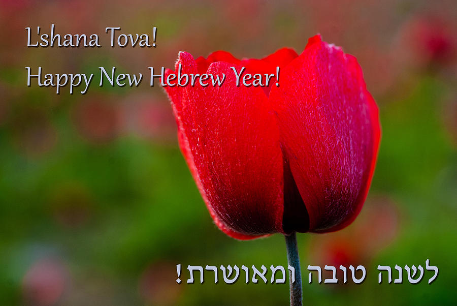 Hebrew New Year greeting card Photograph by Meir Jacob Fine Art America