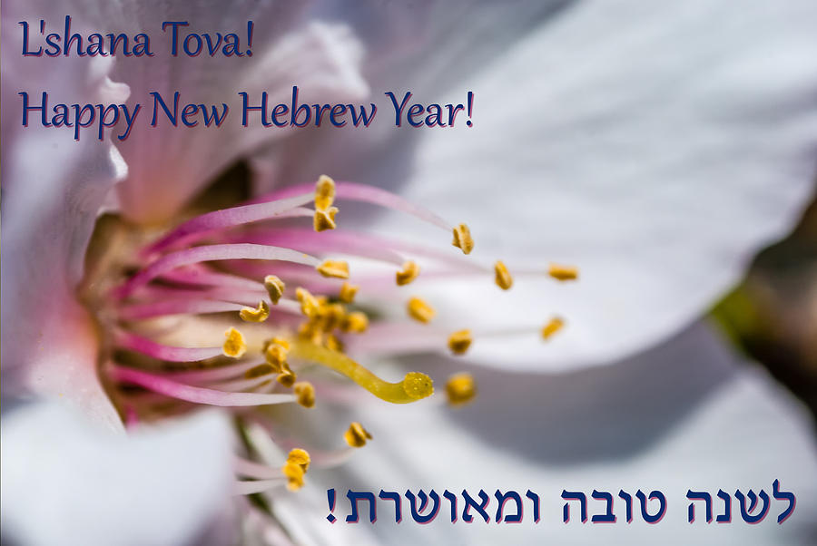 Hebrew New Year Greetings Card Photograph by Meir Jacob