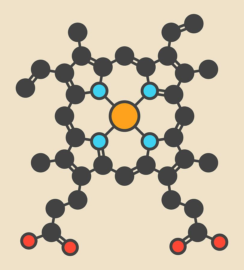 Heme B Molecule Photograph By Molekuul - Pixels