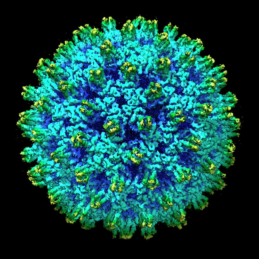 Nature Photograph - Hepatitis B Virus #1 by Louise Hughes