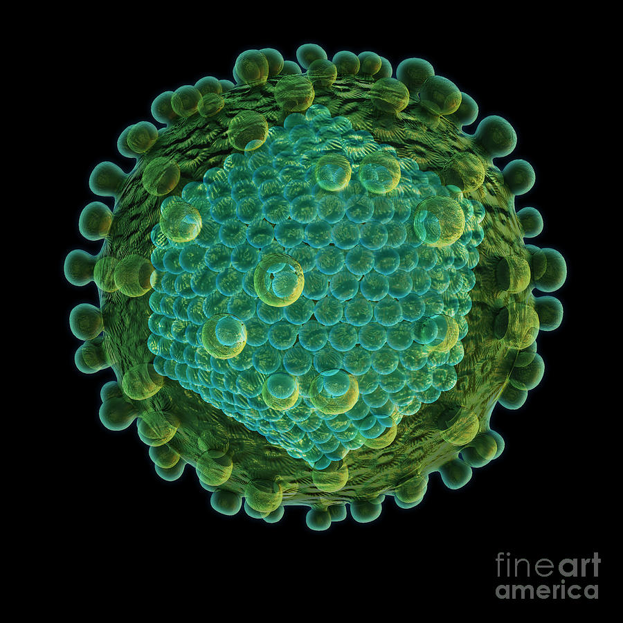 Hepatitis C Virus #2 Photograph by Evan Oto