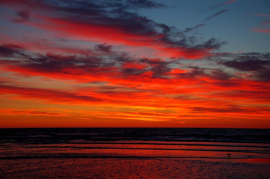 Herfords Inlet Sunrise With Solitary Gull 293 Photograph By Len 