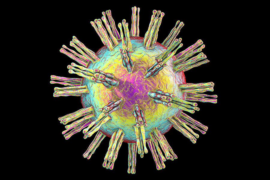 3 Dimensional Photograph - Herpes Simplex Virus #1 by Kateryna Kon/science Photo Library