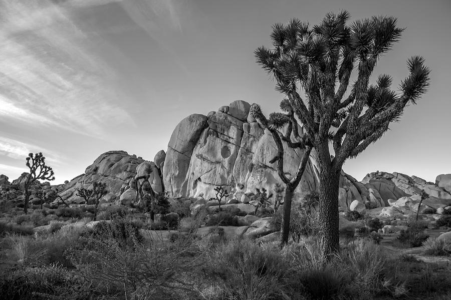 National Parks Photograph - Hidden Valley - Black and White by Peter Tellone