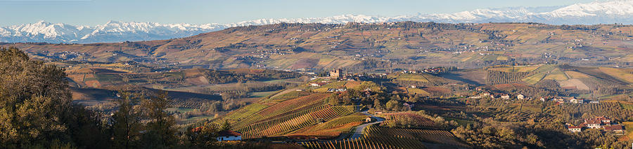 Castle Photograph - High Angle View Of Vineyards #1 by Panoramic Images