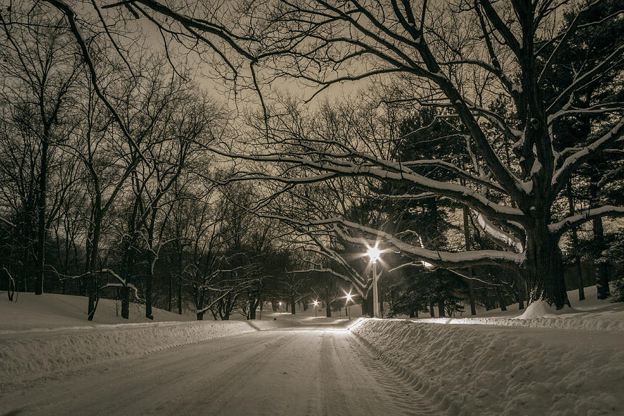 Highland Park at Midnight Photograph by Daniel Dangler | Fine Art America