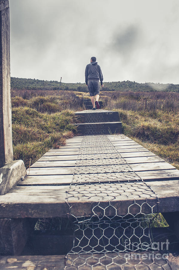 Hiker on the Overland Track in Cradle Mountain #1 Photograph by Jorgo Photography