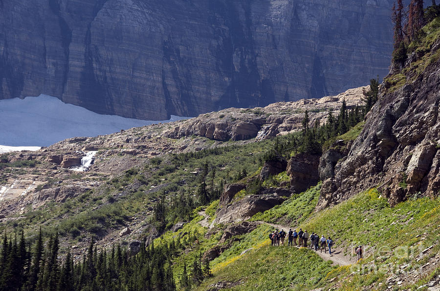 Hiking In Glacier National Park #1 Photograph by Mark Newman