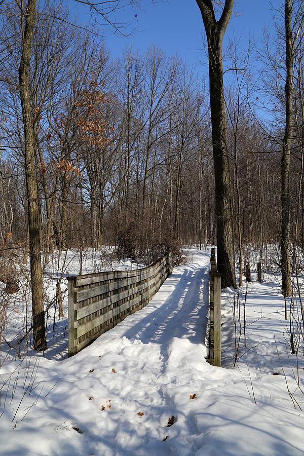 Hiking Trail Bridge with Shadows 3 Photograph by Mary Bedy