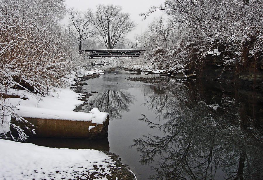 Hill Park Stream in Winter #1 Photograph by Ellen Tully