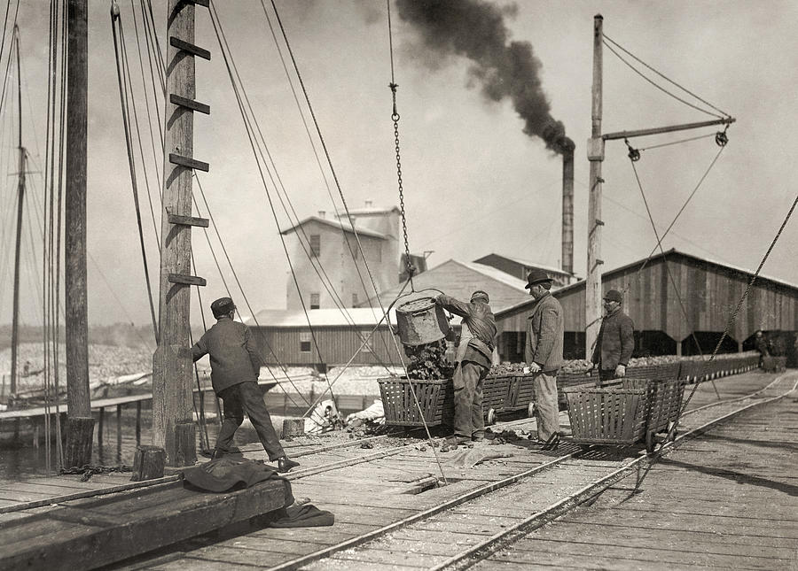 Hine Oyster Fishing, 1911 #1 Photograph by Granger