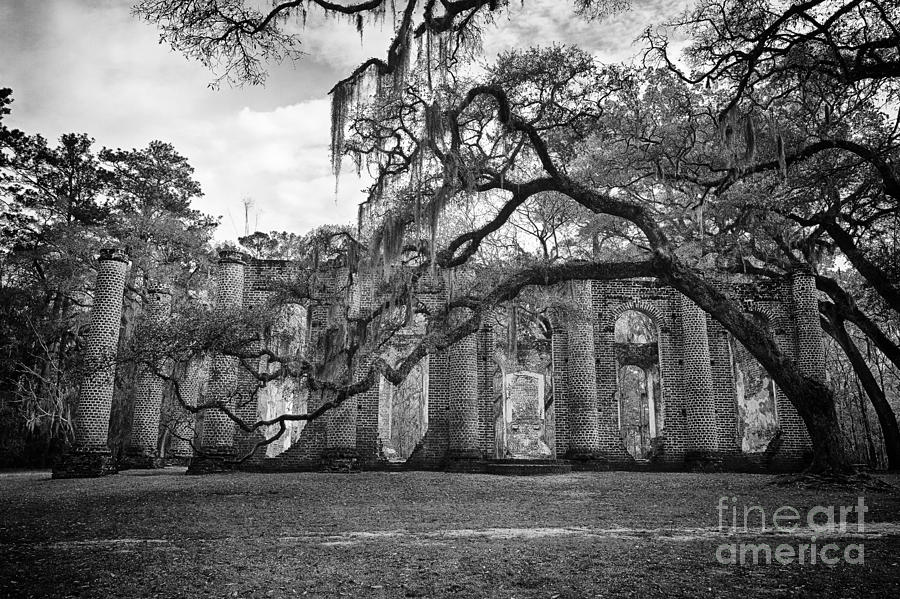 Tree Photograph - Historic Sheldon Church 4 BW #1 by Carrie Cranwill