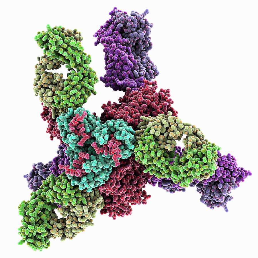 Hiv-1 Glycoprotein Complex Photograph by Laguna Design/science Photo ...