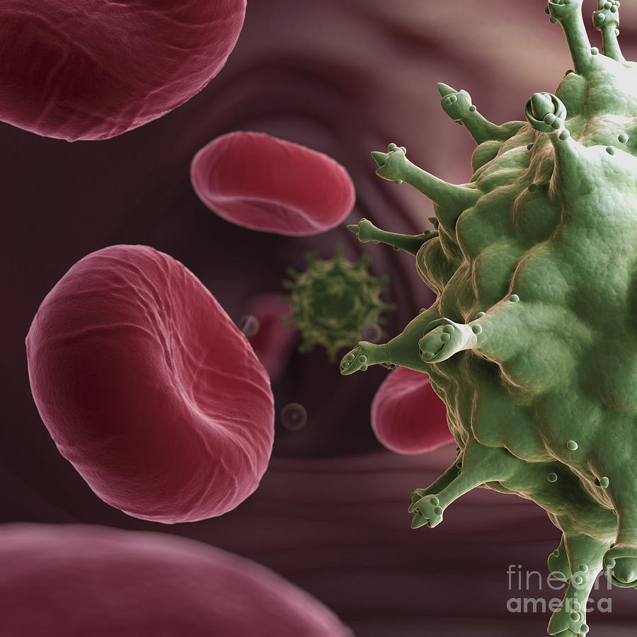 Infection Photograph - Hiv Infection #1 by Science Picture Co
