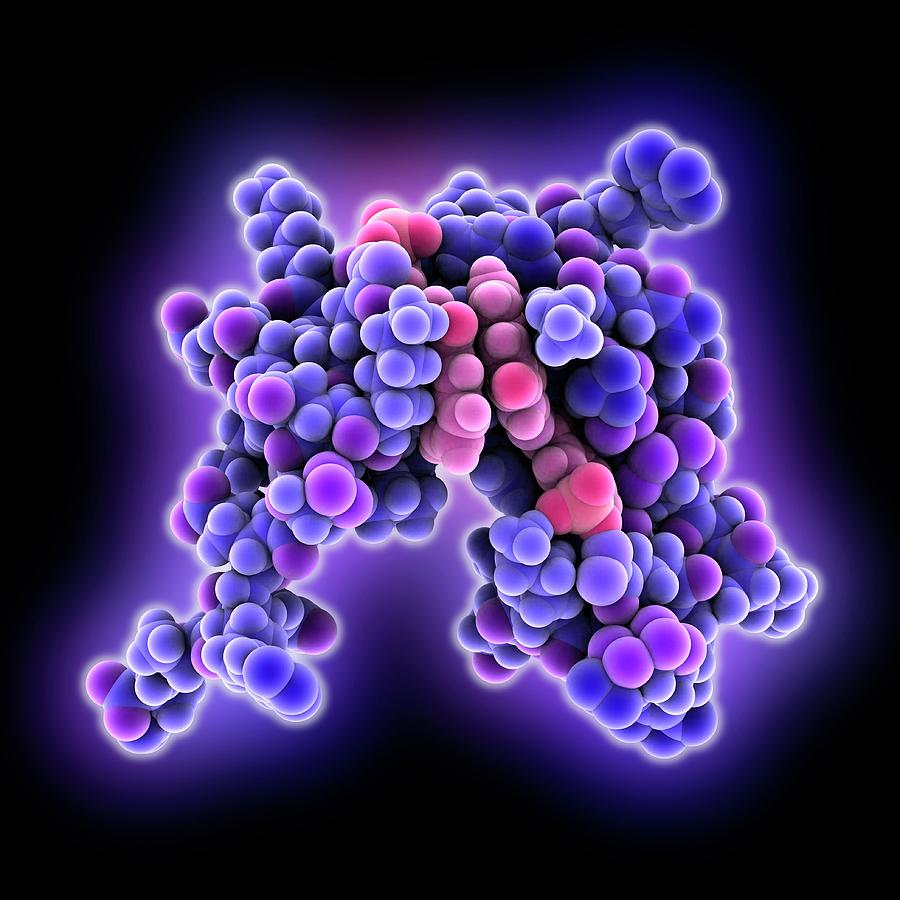 Hiv Nucleocapsid Protein And Inhibitor Photograph By Laguna Design - Pixels