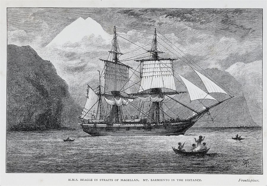Hms Beagle #1 Photograph by Natural History Museum, London/science Photo Library