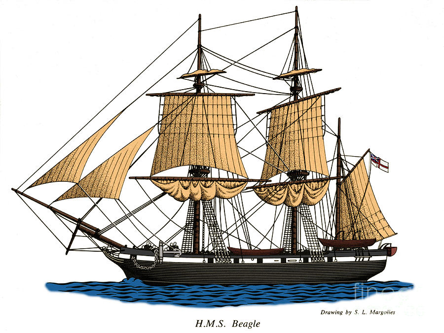 Hms Beagle #1 Photograph by Science Source