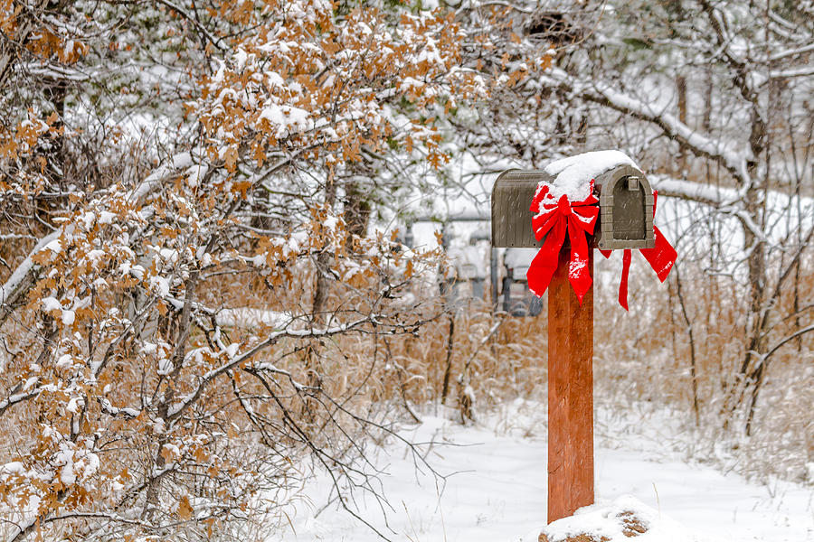 Holiday Mail #2 Photograph by Teri Virbickis