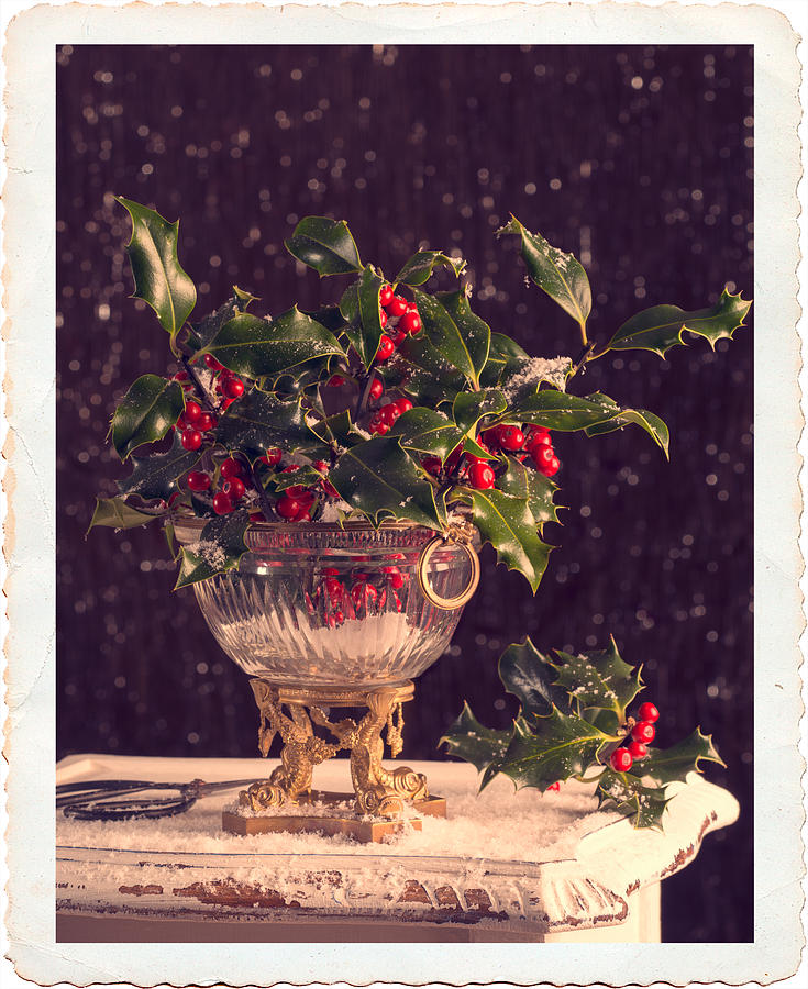 Christmas Photograph - Holly And Berries #1 by Amanda Elwell