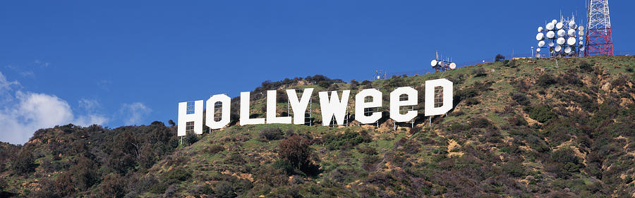 Hollywood Sign Changed To Hollyweed #1 Photograph by Panoramic Images