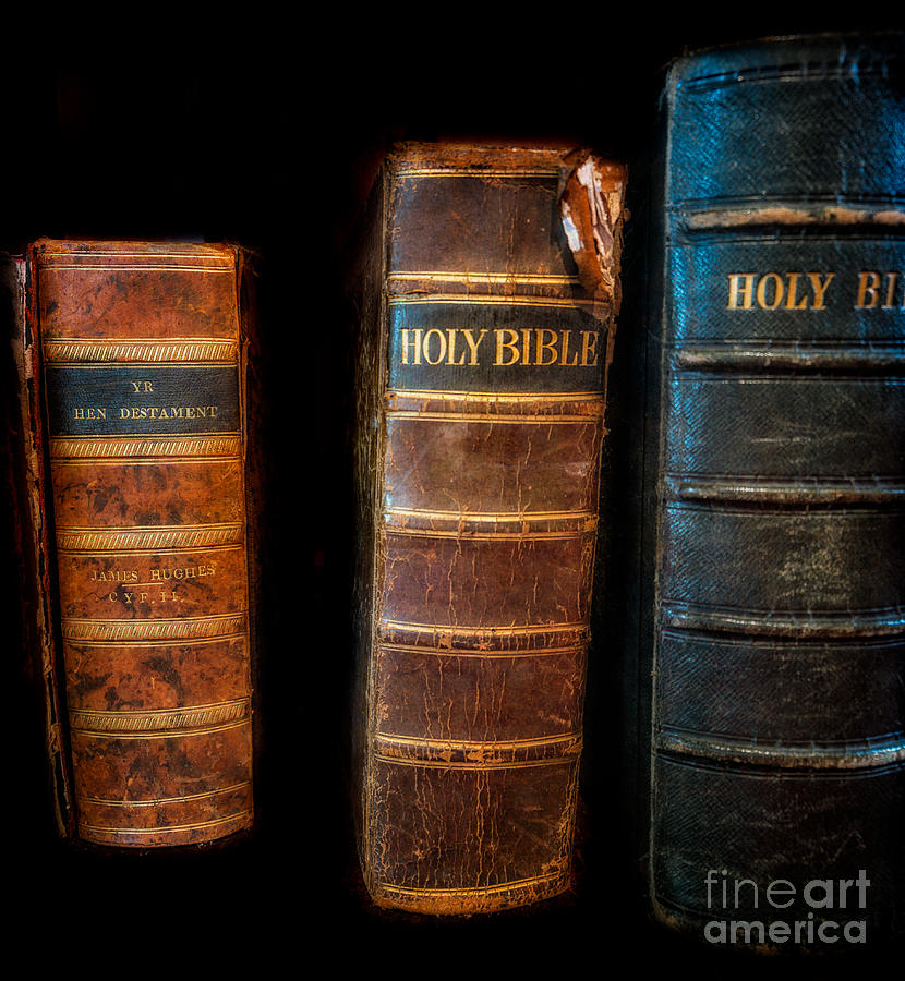 Holy Bibles #2 Photograph by Adrian Evans