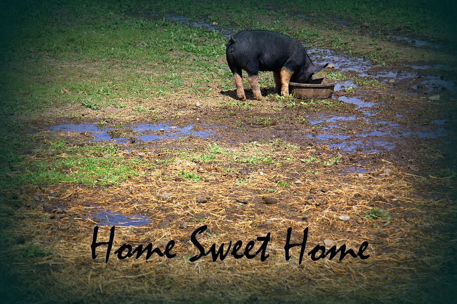 Home Sweet Home #1 Photograph by Kathy Bassett