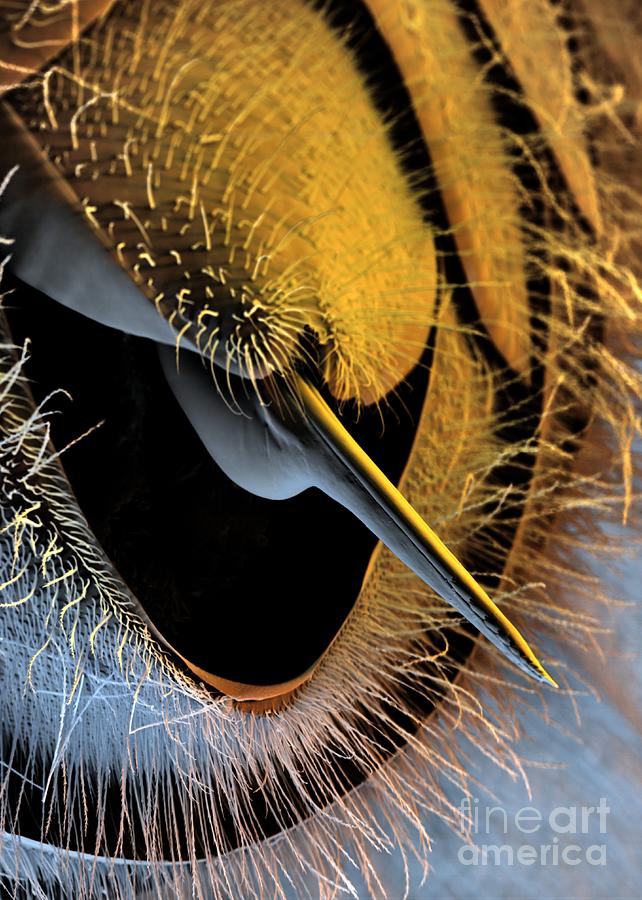 Honey Bee Stinger Sem Photograph By Stefan Diller Pixels