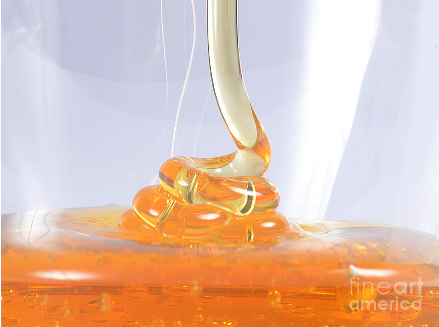 Honey, Coiling Effect #1 Photograph by Photo Researchers, Inc.