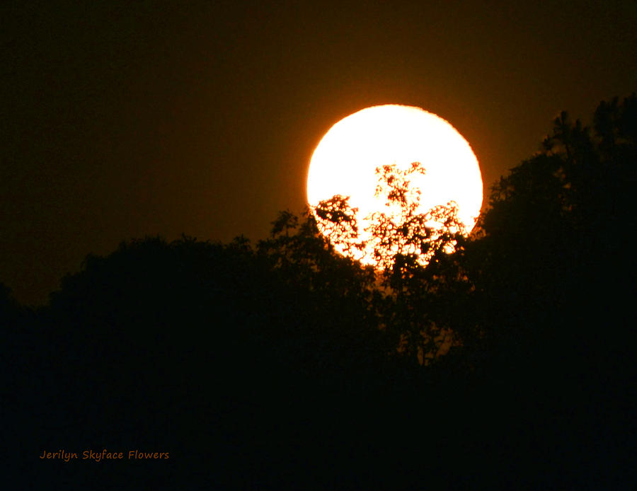 Honey Moon Photograph by Jerilyn Skyface Flowers - Fine Art America