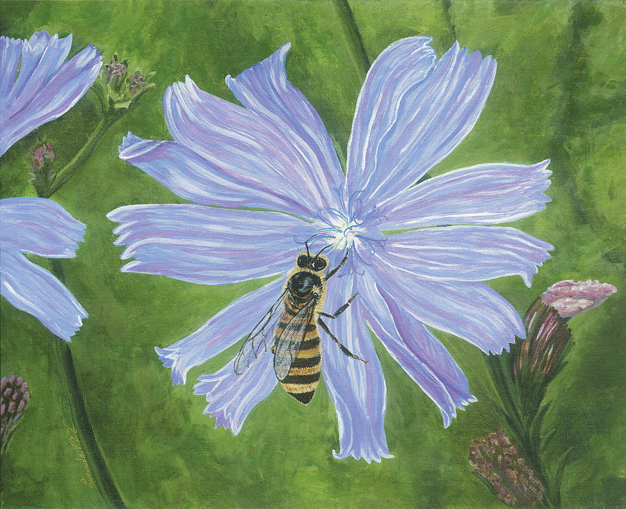 Honeybee on Chicory #2 Painting by Lucinda VanVleck