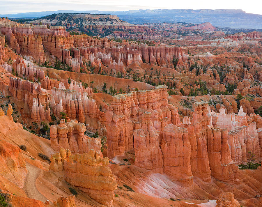 Hoodoo Rock Formations In A Canyon #1 Photograph by Panoramic Images
