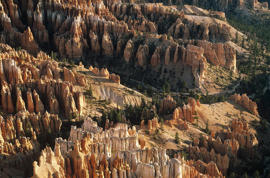 Hoodoos Bryce Canyon Utah #1 Photograph by Gerry Ellis