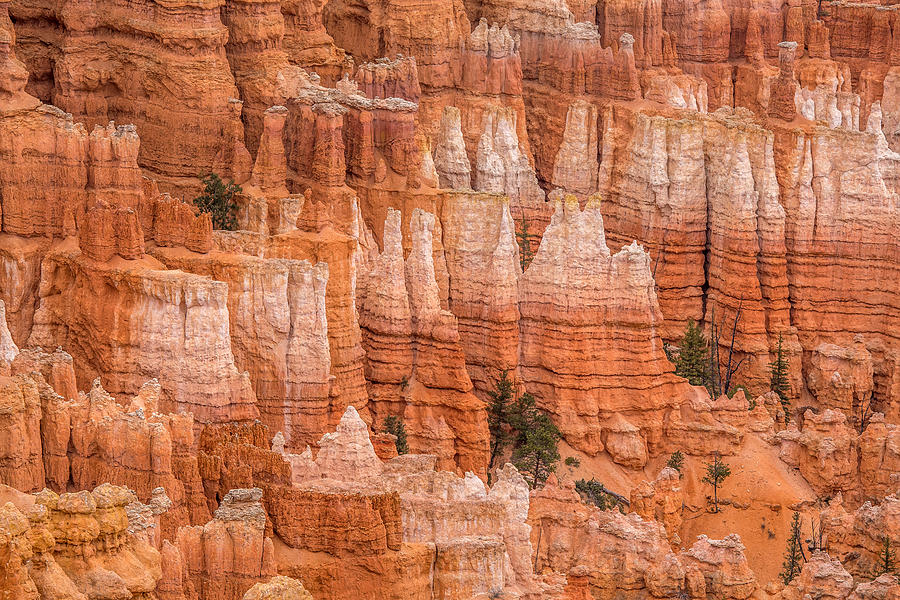 Hoodoos Photograph - Hoodoos in Bryce Canyon by Pierre Leclerc Photography Hoodoos Photograph - Hoodoos in Bryce Canyon by Pierre Leclerc Photography
