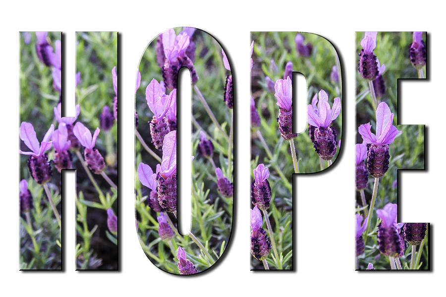Hope in Spanish Lavender on White from the Faith Hope and Love Series by Karen Stephenson Hope in Spanish Lavender on White from the Faith Hope and Love Series by Karen Stephenson
