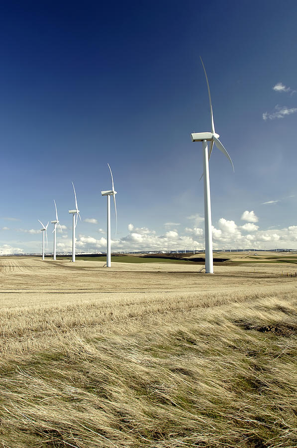 Hopkins Ridge Wind Farm, Washington #1 Photograph by Theodore Clutter