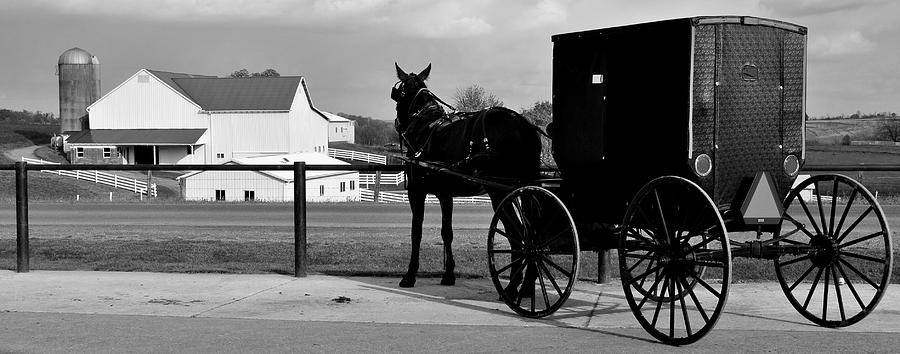 Horse And Buggy And Farm Photograph