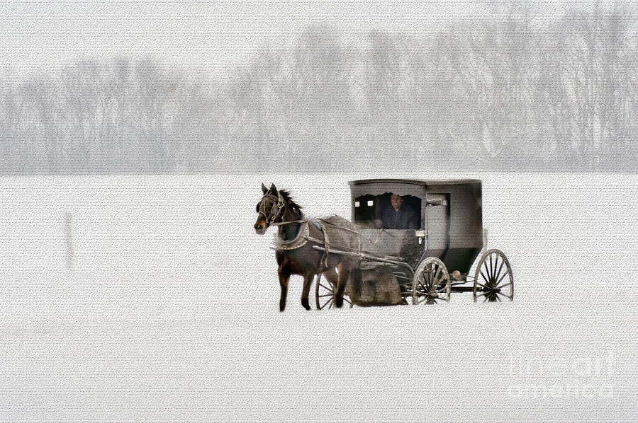 Horse and buggy in snow storm Photograph by Dan Friend