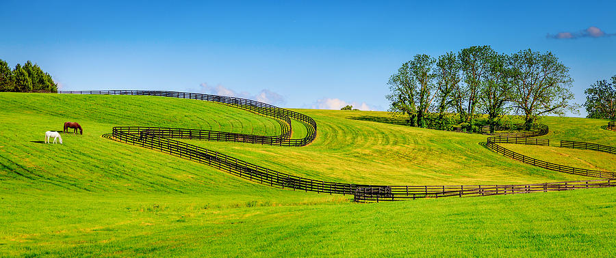 Bluegrass landscape Photograph by Alexey Stiop