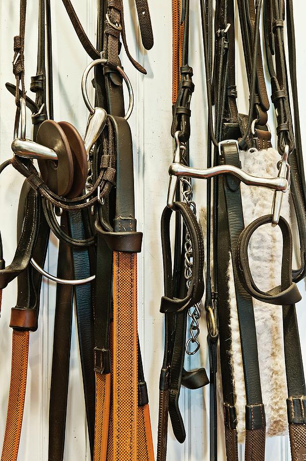 Horse Riding Equipment #1 Photograph by John Greim/science Photo Library