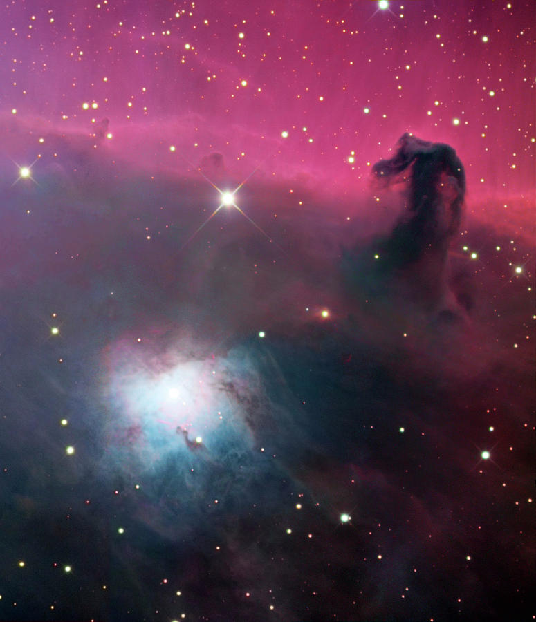 Horsehead Nebula #1 Photograph by Robert Gendler/science Photo Library
